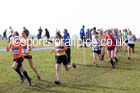 Senior womens 2016 Inter Counties Cross Country Champs. and Cross Challenge Final, Cofton Park, Birmingham. Photo: David T. Hewitson/Sports for All Pics